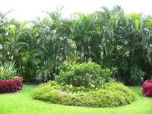 Apartmán La Alameda Caracas Venezuela